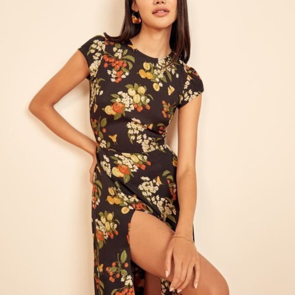 Reformation Gavin Dress in Summer